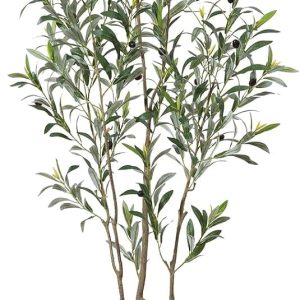 Aitatty Artificial Olive Trees, 6 ft Tall Fake Olive Trees for Indoor Use - Faux Olive Silk Tree with White Planter, Large Olive Plants for Home Decor and Housewarming Gift, 1 Pack