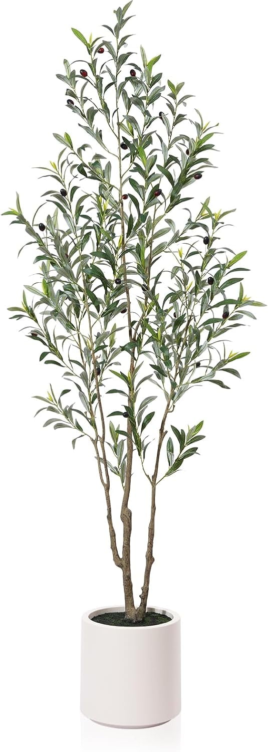 Aitatty Artificial Olive Trees, 6 ft Tall Fake Olive Trees for Indoor Use - Faux Olive Silk Tree with White Planter, Large Olive Plants for Home Decor and Housewarming Gift, 1 Pack