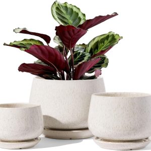 Aitatty Ceramic Plant Pots Set of 3 - 4.1", 5.1", 6.5" Planters with Drainage Holes and Saucers, Indoor Flower Pots with Mesh Pads, Reactive Glaze Beige - Perfect Gift for Mom