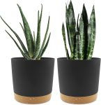 Aitatty Set of 2 Plant Pots - 8 Inch Planters for Indoor Plants with Drainage Holes and Removable Saucers, Modern Decorative Outdoor Garden Planters in Dark Grey