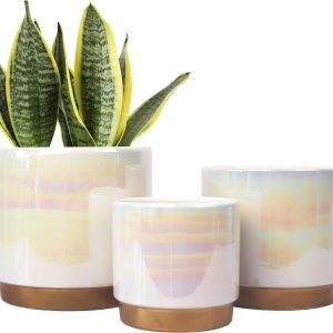 Aitatty White Ceramic Indoor Plant Pots, Set of 3 with Drainage Holes - 6.0", 5.0", and 4.0" Rainbow Pearl Glaze Succulent and Orchid Planters