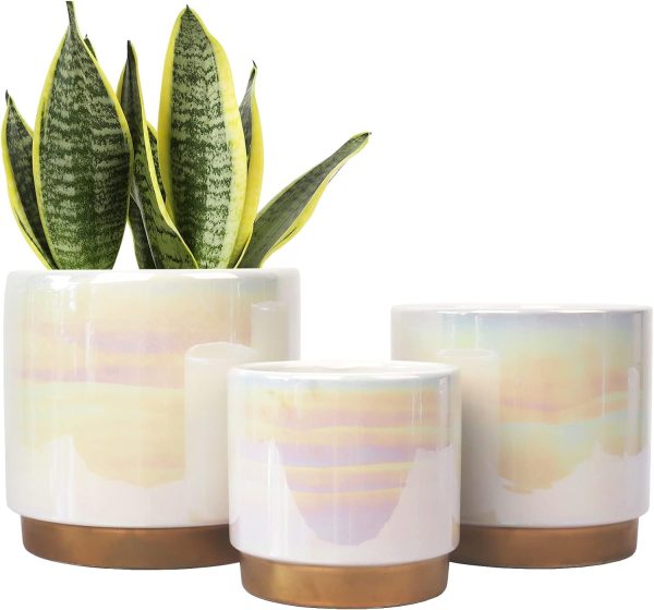 Aitatty White Ceramic Indoor Plant Pots, Set of 3 with Drainage Holes - 6.0", 5.0", and 4.0" Rainbow Pearl Glaze Succulent and Orchid Planters